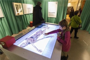 Museo Archeologico dell'Alto Adige