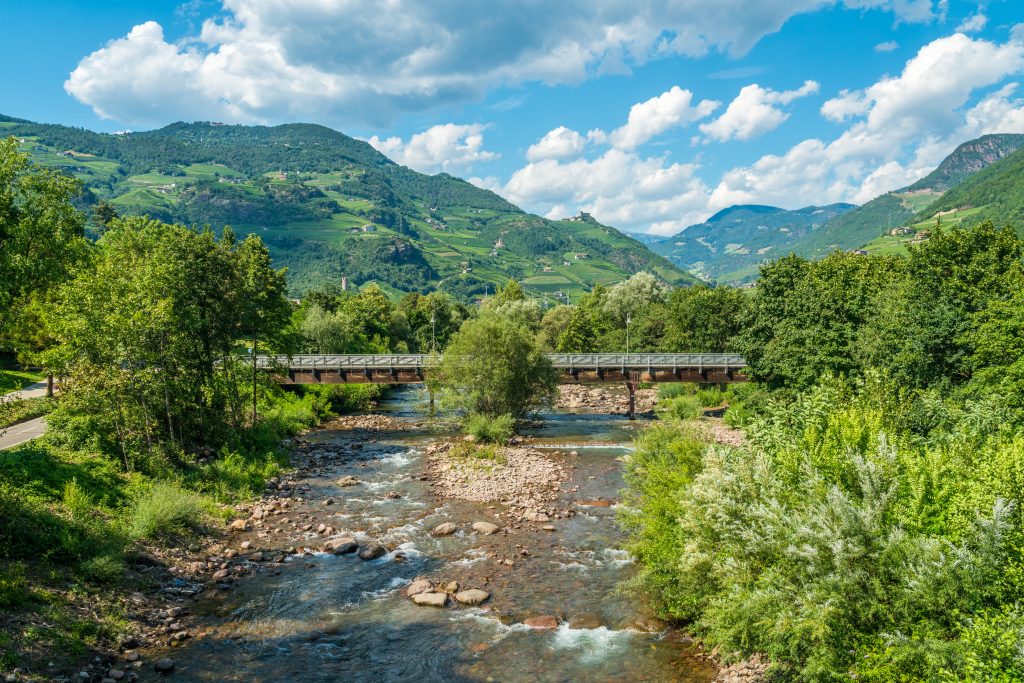 Foreste urbane, orti e verde sociale: anche Bolzano tra i centri più